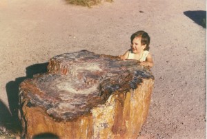 1982 Petrified Forest