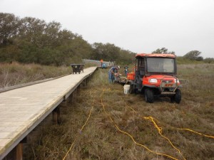 Saltwater Marsh Boardwalk