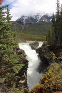 Athabasca Falls Comp_3489