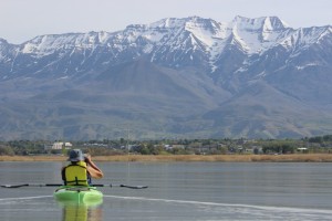 Bird Watching Utah Lake Comp_2212