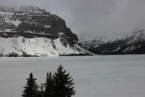 Icefields pkwy comp_3335