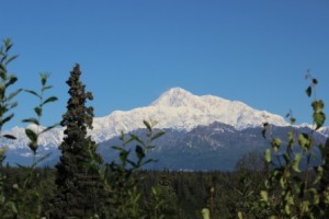 Denali Web_5839