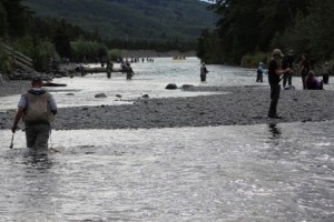 Kenai Riverbank Comp_5938