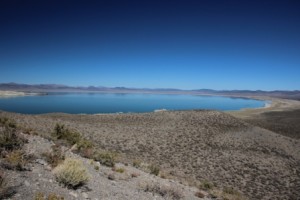 Mono Lake Comp_8776