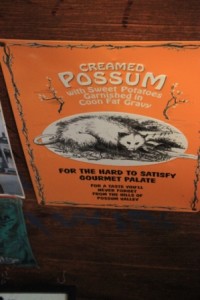 Creamed Possum_1517