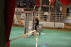 Dog Jump_4581