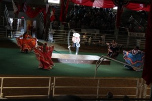 HorseShowComp_4647