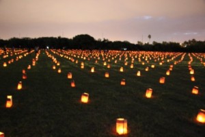 Luminaries Comp_6669