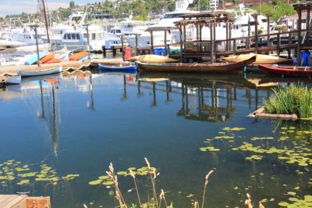 CenterforWoodenBoats_3606