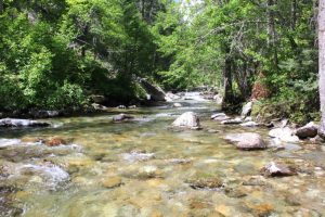 Kootenai Creek Doc_4959