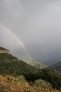 RainbowComp_4967