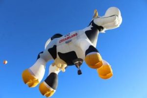 cows-fly_6162